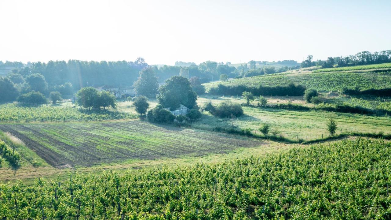 Suite Campagnarde Pres Bordeaux, Vue Sur Les Vignes Au Chateau Camponac Bourg-sur-Gironde Экстерьер фото